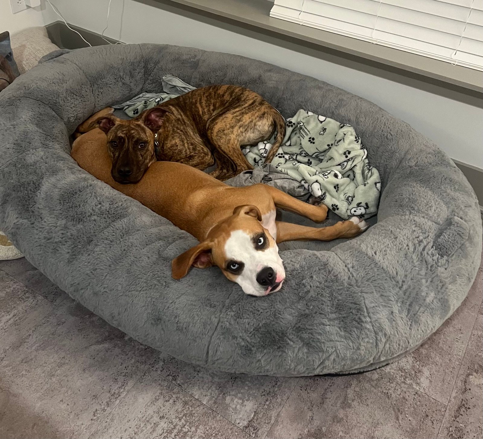 Billie and Papi together